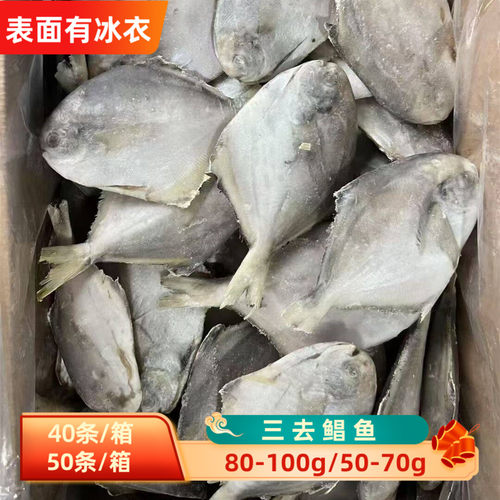 新鲜白鲳鱼40条/50条冷冻三去