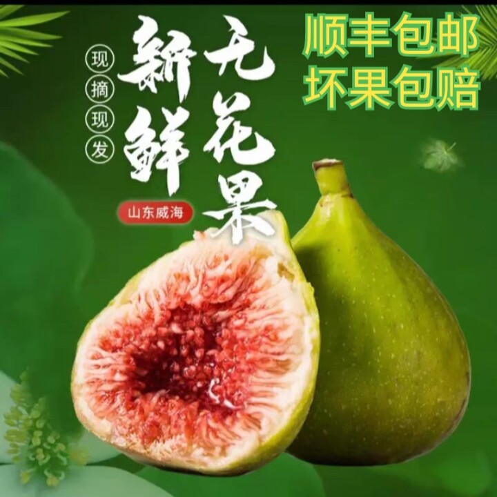 无花果威海特产青皮无花果鲜果大果新鲜水果孕妇现摘顺丰包邮