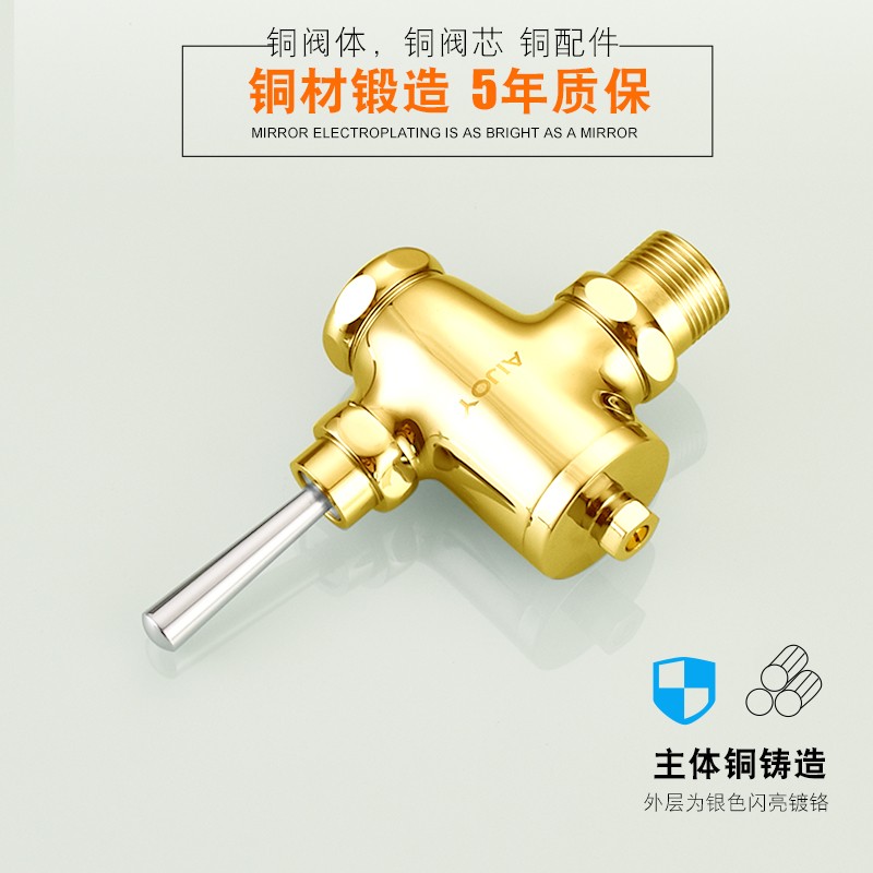铜手按式冲水阀蹲便器大便自闭式蹲坑卫生间开关延时阀冲洗阀厕所