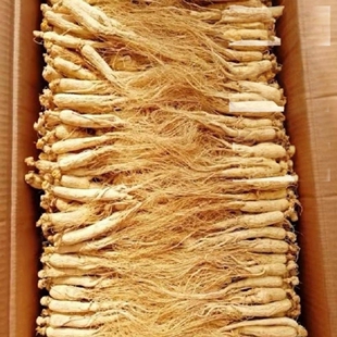 长白山50根人参小人参干参老人参白参生晒参煲汤材料泡水泡酒滋补