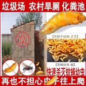 杀蛆除四害消杀灭蚊幼虫卵杀虫剂垃圾场下水道化粪池杀苍蝇蛆虫药