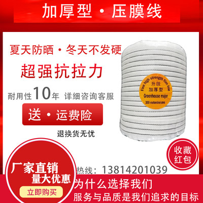 大棚压膜绳配件大棚用品加厚防晒绳子耐磨压膜带扁带抗老化压膜线