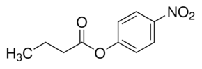 4-硝基苯丁酸酯2635-84-9分析纯