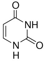 尿嘧啶2,4-二羟基嘧啶24嘧啶二醇