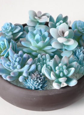 蓝色系植绒仿真多肉植物绿植 家居装饰diy摆件组合人造盆栽盆景