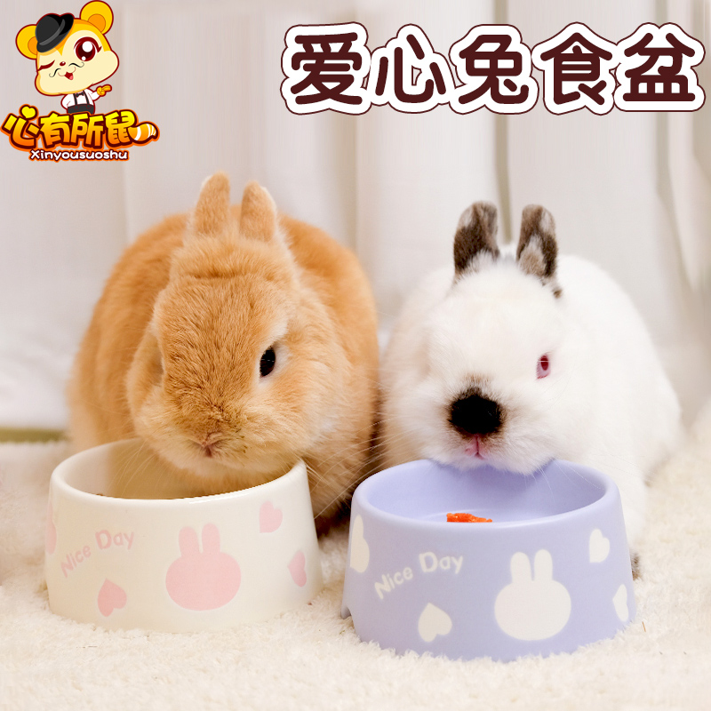 爱心兔碗兔子喂食器食盆防打翻