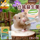 仓鼠益生菌金丝熊湿尾拉稀专用补充营养地鼠形粮食调理肠胃软便秘