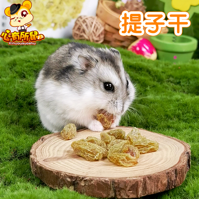 包邮Jolly祖莉提子干葡萄干兔子饲料龙猫豚鼠荷兰猪熊鼠仓鼠零食