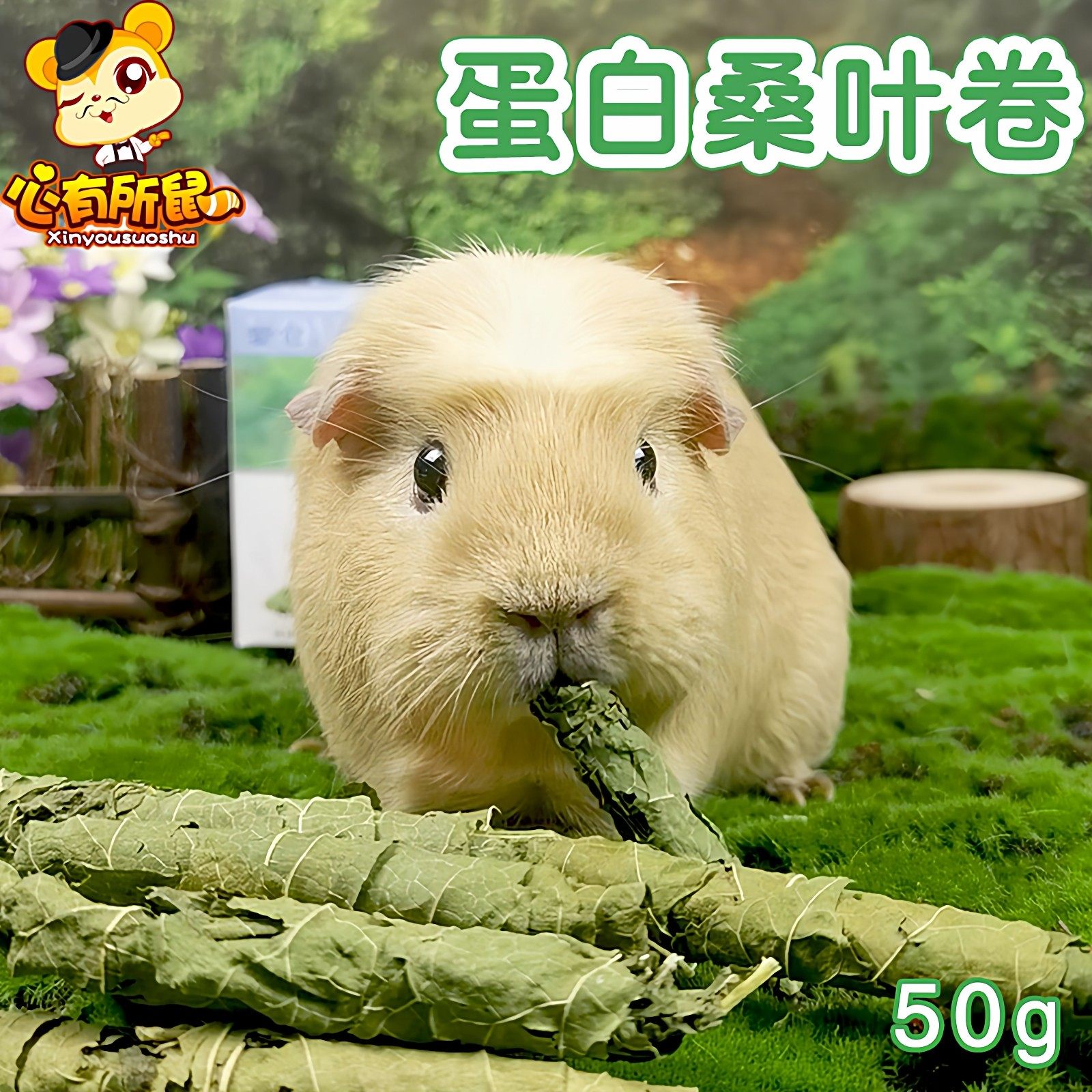 包邮 蛋白桑叶脆卷牧草兔子小零食龙猫荷兰猪豚鼠饲料零食,宠物/宠物食品及用品,兔兔零食,淘宝优惠券,粉丝福利购,淘宝优惠卷