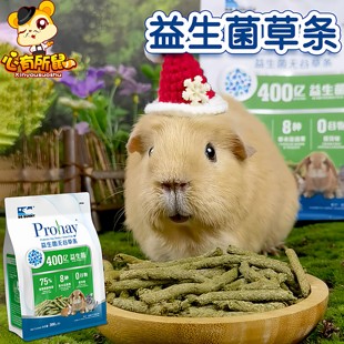 兔博士益生菌无谷草条兔子磨牙棒龙猫荷兰猪豚鼠零食含美国提草