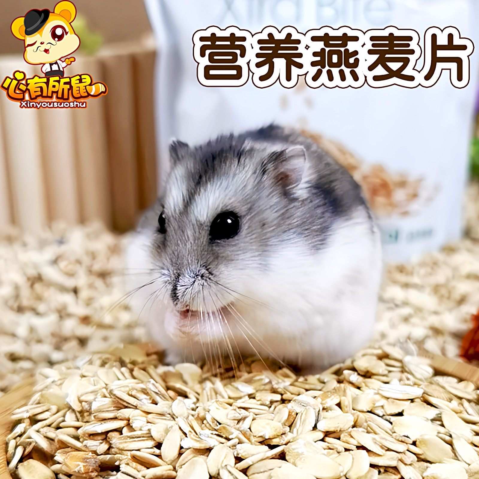 Jolly营养燕麦片仓鼠粮食豚鼠兔子荷兰猪零食宠物饲料仓鼠小零食,宠物/宠物食品及用品,鼠粮,淘宝优惠券,粉丝福利购,淘宝优惠卷
