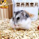 Jolly营养燕麦片仓鼠粮食豚鼠兔子荷兰猪零食宠物饲料仓鼠小零食