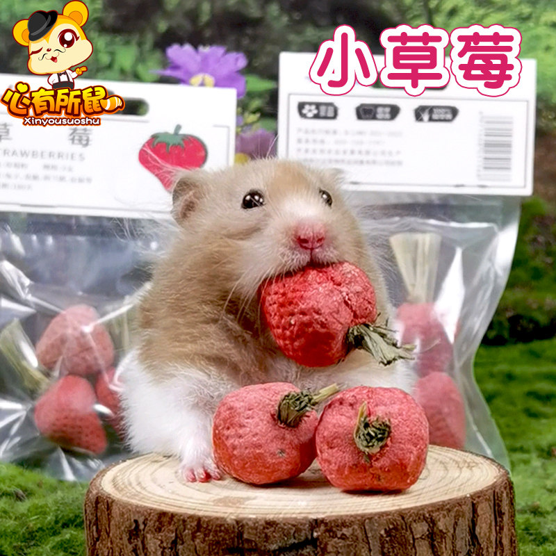 迷你小草莓仓鼠零食金丝熊磨牙棒兔子龙猫豚鼠提摩西草造景玩具,宠物/宠物食品及用品,鼠粮,淘宝优惠券,粉丝福利购,淘宝优惠卷