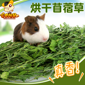 烘干苜蓿草兔粮侏儒兔子干草饲料豚鼠龙猫粮食荷兰猪饲草幼兔牧草