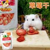 Jolly脆脆草莓干补充维生素VC小宠兔子龙猫荷兰猪仓鼠零食
