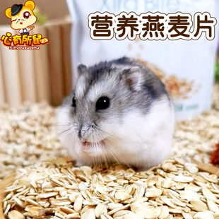 包邮 Jolly营养燕麦片仓鼠粮食豚鼠兔子荷兰猪零食宠物饲料