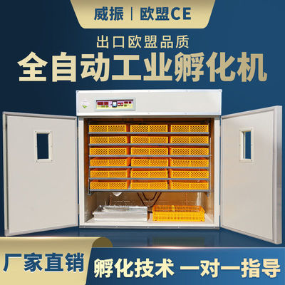 威振全自动孵化机家用型