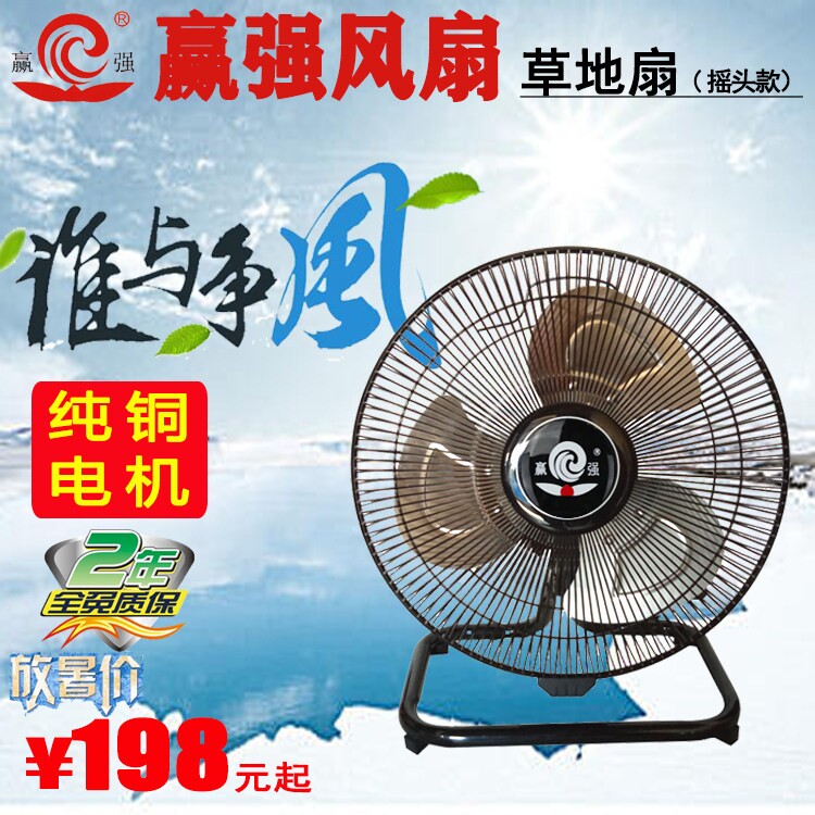 赢强/盈强电风扇铁风扇草地扇摇扇工业商用风扇全铜线电机头趴地