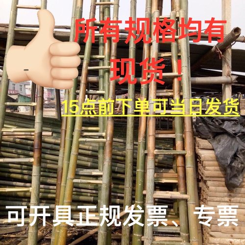 毛竹米9工程电力全绝缘梯子