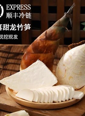 云南普洱甜龙竹笋新鲜竹笋