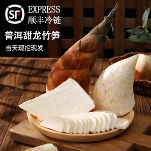 云南普洱甜龙竹笋新鲜竹笋
