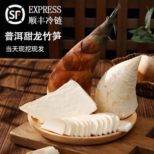[顺丰冷链】普洱甜龙竹笋新鲜竹笋现挖竹笋曼歇甜笋可生吃竹笋