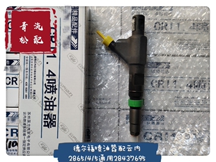 德尔福喷油器总成28651415通用28437695配云内