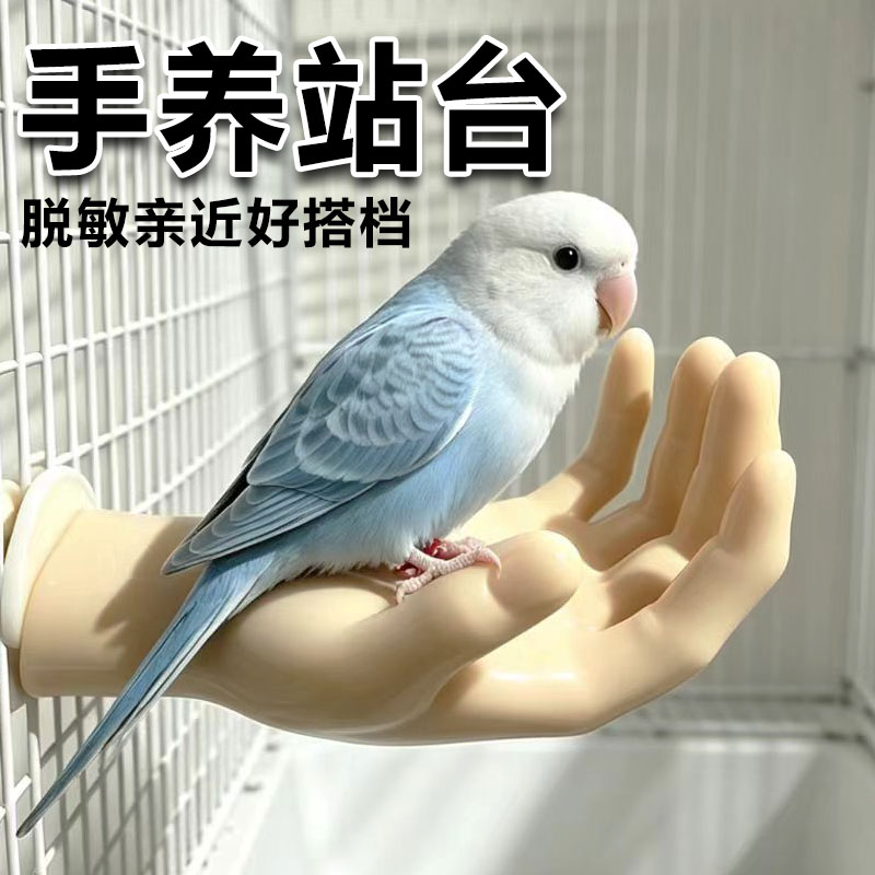 鹦鹉脱敏假手站台玄凤训练站架仿真手养鹦鹉零食食盆平台鸟笼装饰图片