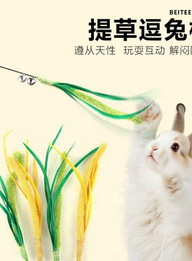 提摩西草造型逗兔棒猫尾草