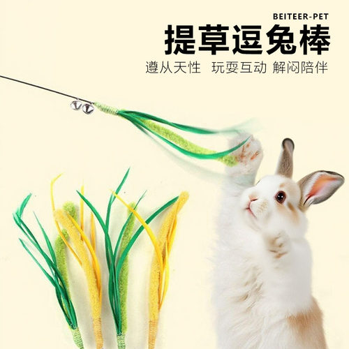 提摩西草造型逗兔棒猫尾草