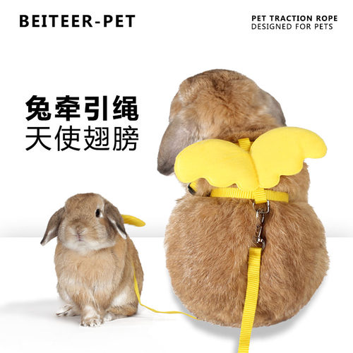 兔子龙猫狗狗牵引绳猫咪专用外带荷兰猪背心式宠物土拨鼠松鼠包邮 - 封面