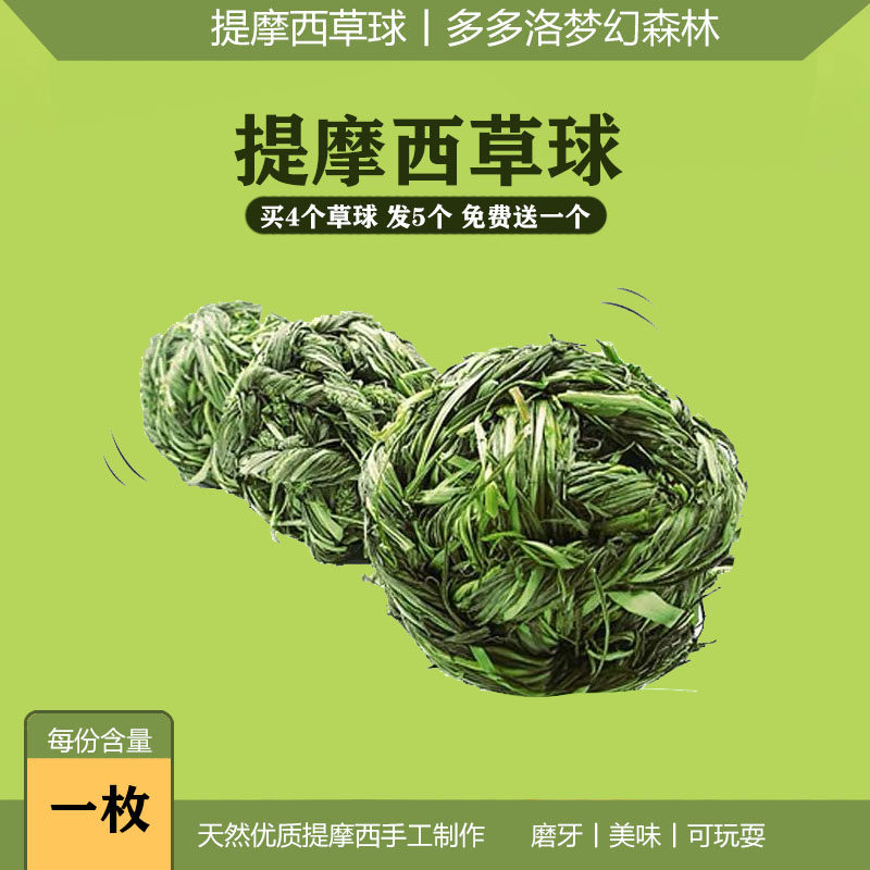 荷兰猪提摩西草球多多洛磨牙图片