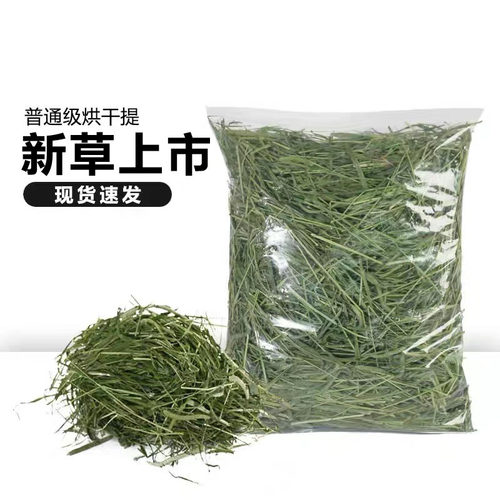 烘干超赞牧草提摩西草适口性佳