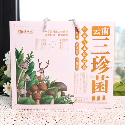 逐南味云南特产三珍菌松茸菌礼盒装1.2kg牛肝菌鸡枞菌菇佐餐炒菜