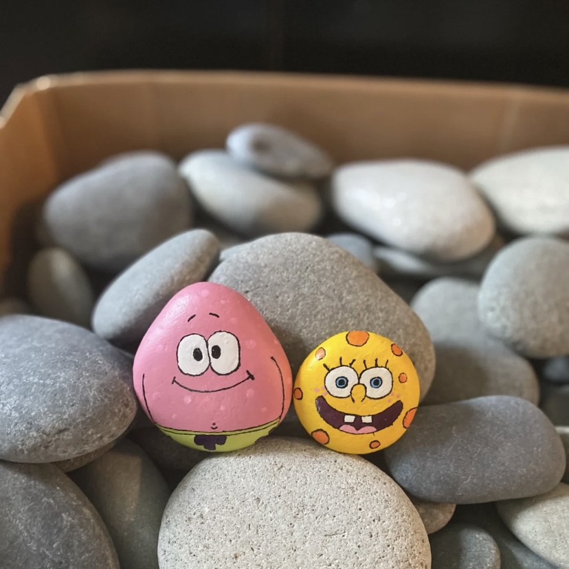彩绘石头原石儿童卡通创意diy画画扁石头绘画石头手绘天然鹅卵石