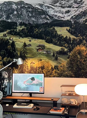 【重磅绒布】高清北欧风景背景布床头挂布出租房改造遮丑墙布定制