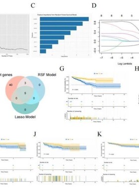 孟德尔随机化共病思路定制UKB数据库挖掘