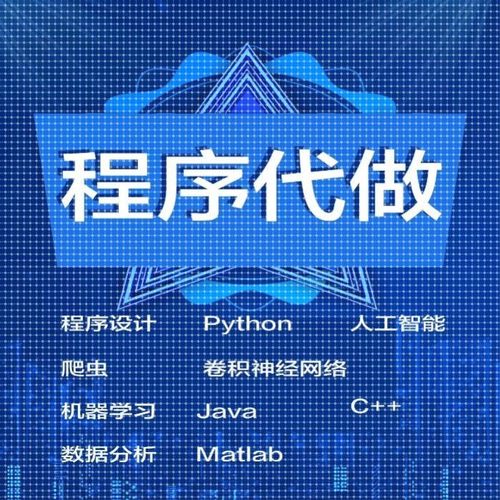 程序代做python人工智能数据分析java卷积神经网络机器学习c++