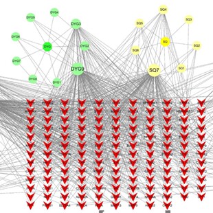 生信meta分析系统综述文献检索数据提取