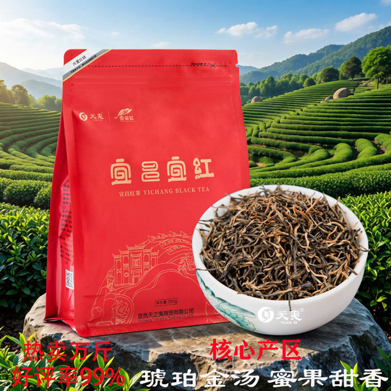 热卖过万口粮红茶宜昌宜红工夫茶图片