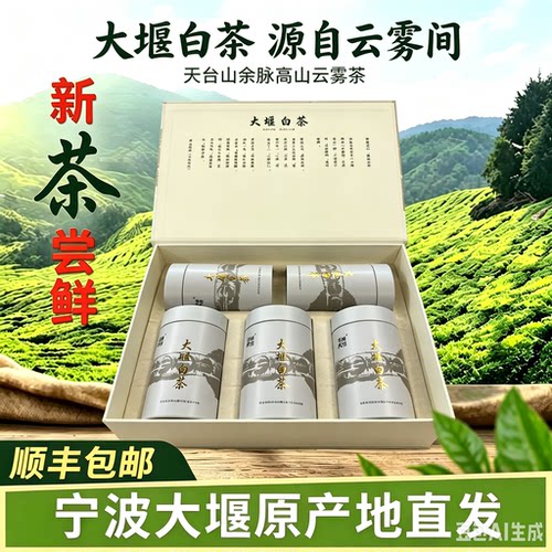 宁波奉化大堰白茶云耕大堰高山茶