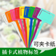 园艺标签插牌加厚塑料防水多肉植物插地牌插卡式 提示牌花卉标签牌