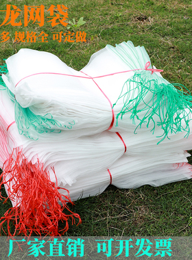 尼龙网袋无花果水果网套袋透气防虫防鸟蔬菜丝瓜葡萄保护袋浸种袋