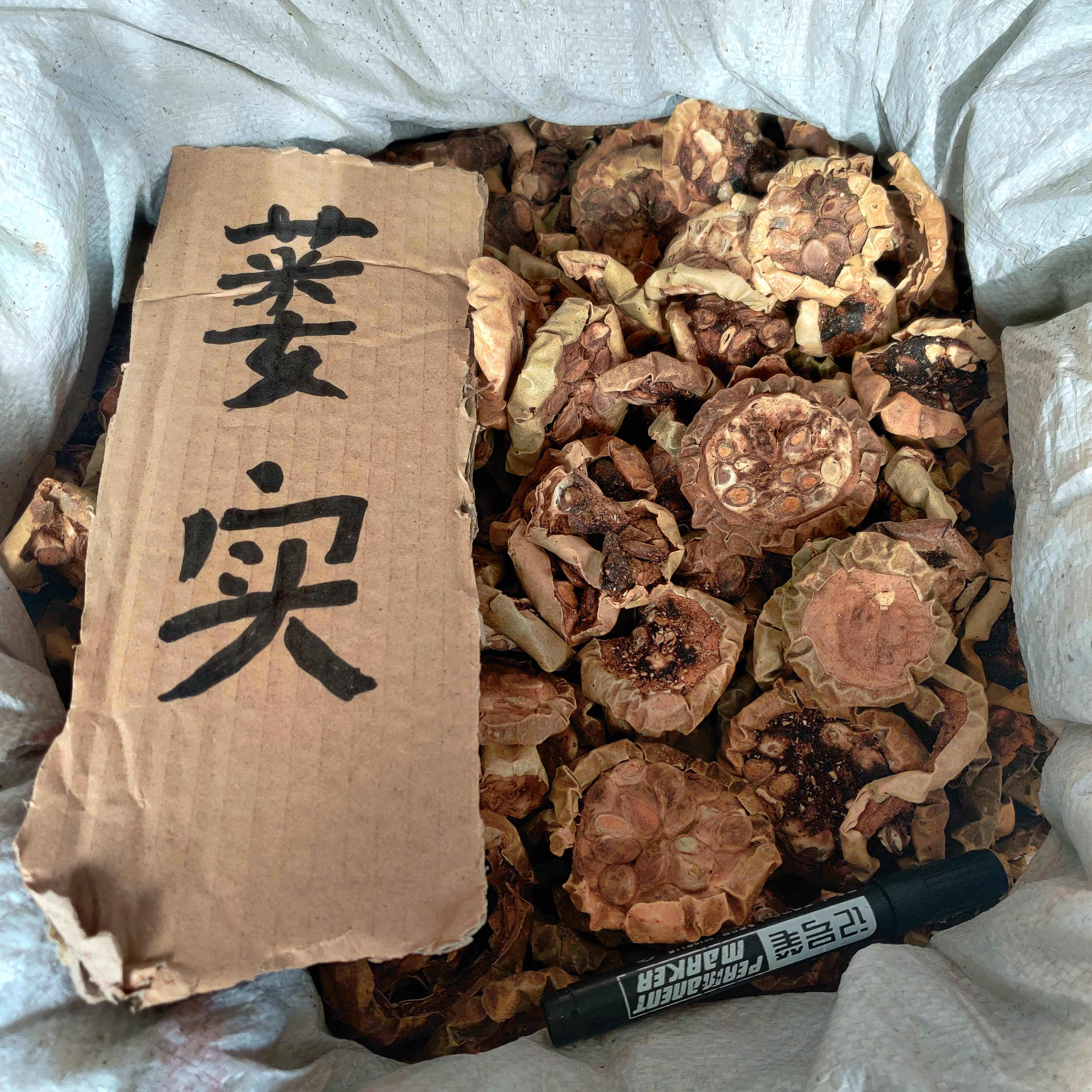 栝蒌实,薤白瓜蒌半夏汤,瓜蒌实别名_大山谷图库