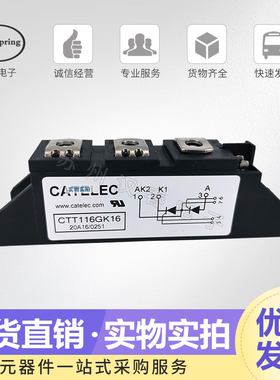 供应 全新可控硅模块CTT116GK16  CTT116GK18现货直销 价格优惠