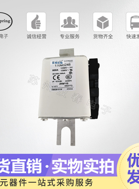 全新熔断器 熔芯 保险丝 170M5248 170M5249 品质保证 低价直销