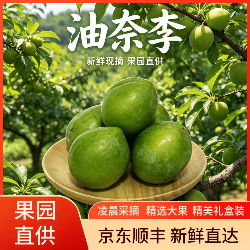 精品古田油奈青奈李青布林空心李桃形奈李脱骨李子当孕妇新鲜水果