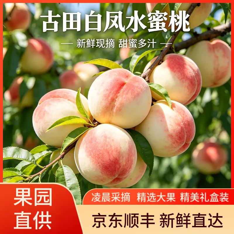 福建古田白凤水密桃桃子脆甜大桃当季孕妇新鲜水果现摘大果礼盒装