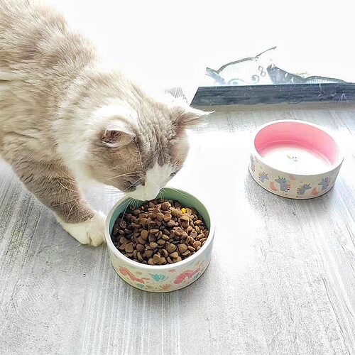 宠物陶瓷碗猫用防打翻易清洗独角兽图案可爱碗饮水喂食器
