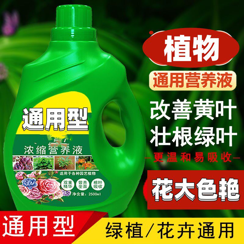 植物营养液通用型花卉水养绿植物无机肥